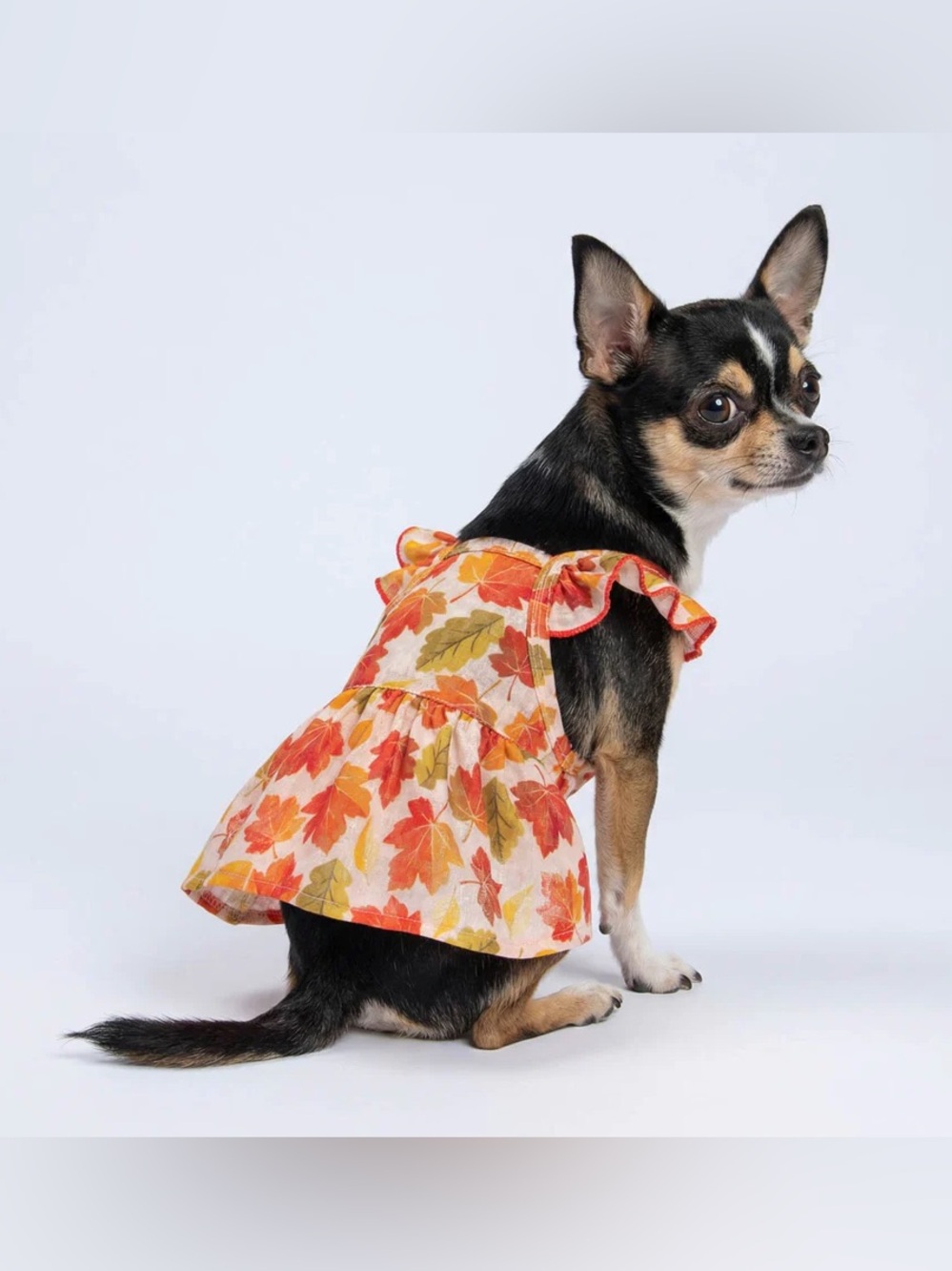 NEW FITWARM MAPLE RUFFLE DOG DRESS - Picture 4 of 9